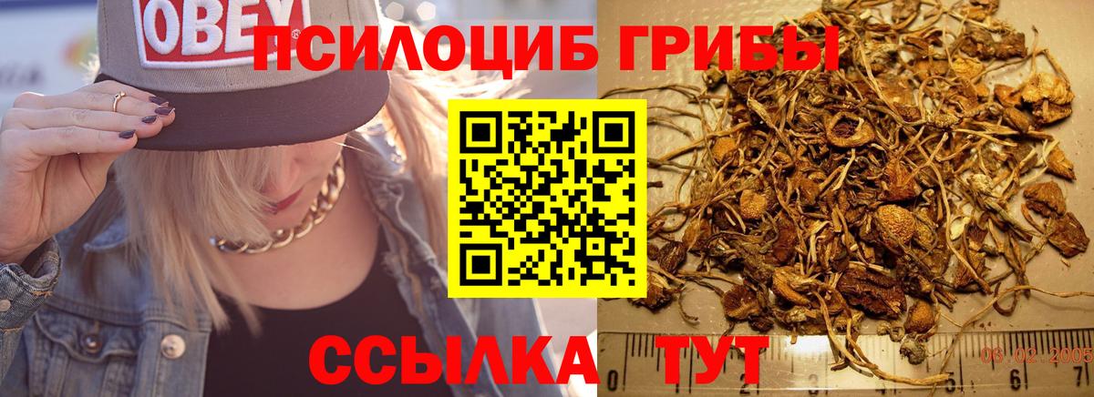 Лениногорск  Галлюциногенные грибы GOLDEN TEACHER  Вход с VPN  Галлюциногенные грибы мицелий 
